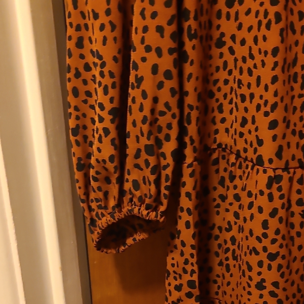 Leopard Print Mini Dress - Picture 3 of 5